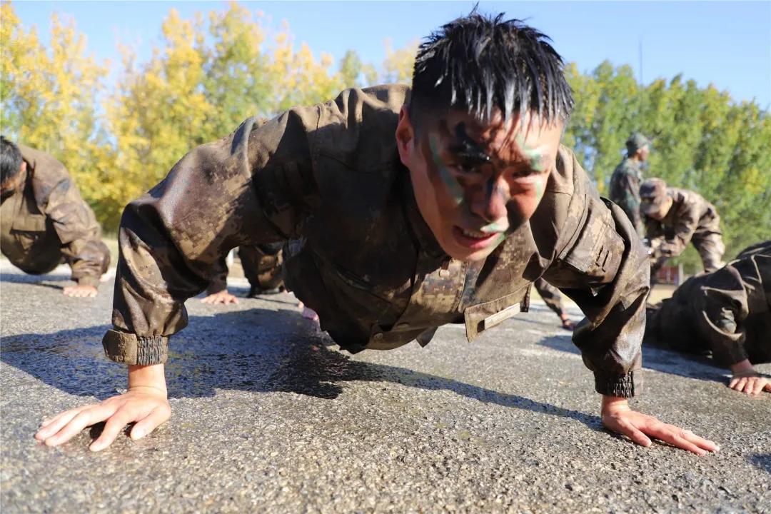 猎人训练,磨砺意志,锻造技艺,猎人训练,磨砺意志,锻造技艺之巅