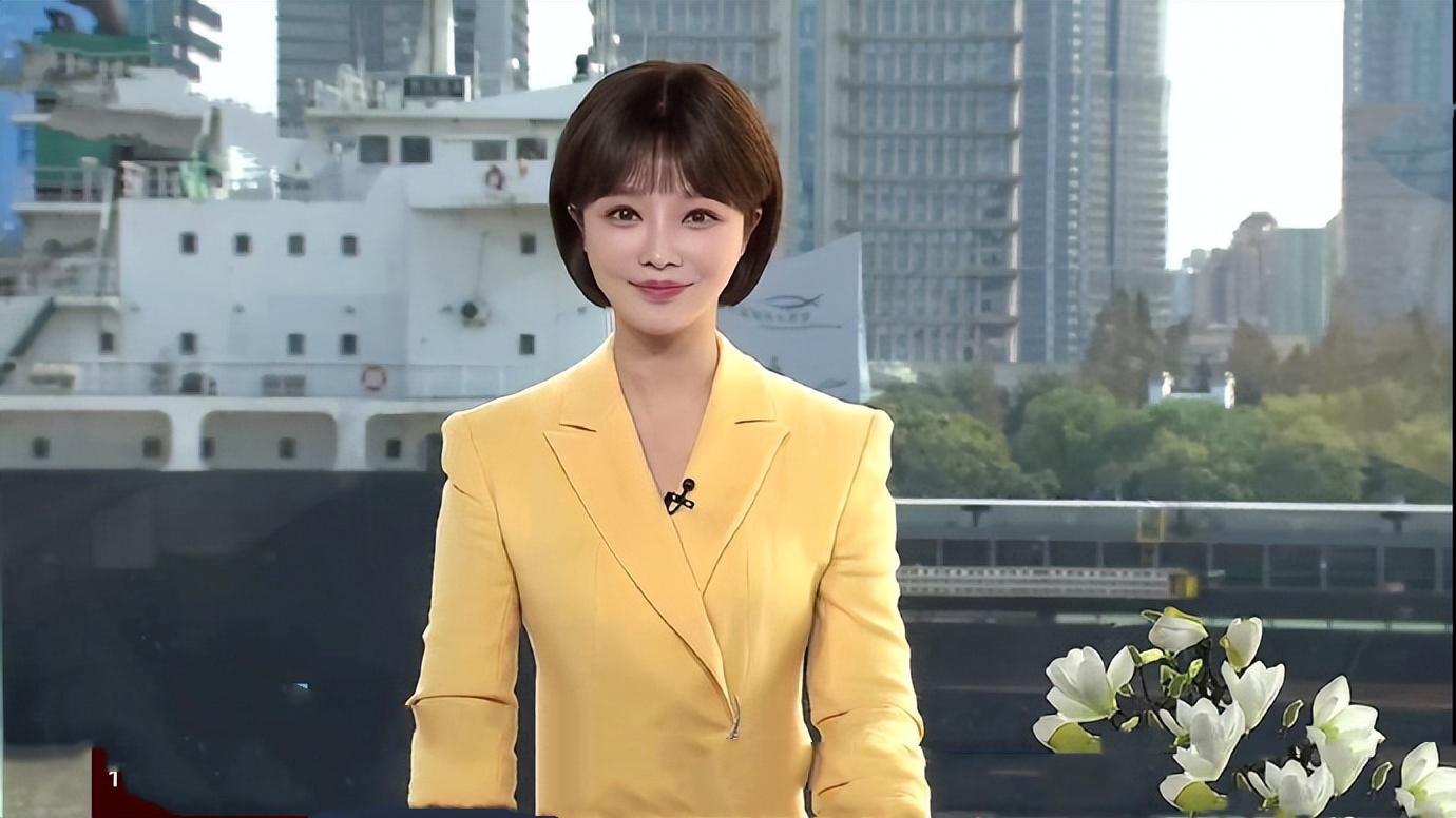 朝闻天下女主播名单及其影响力探究,朝闻天下女主播名单及影响力深度解析