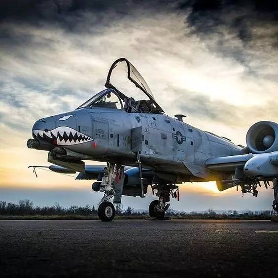 美国疣猪战斗机，空中力量的独特标志，美国疣猪战斗机，空中力量的独特象征