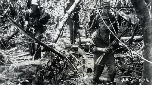 铁血军事网发展历程,铁血军事网的发展之路