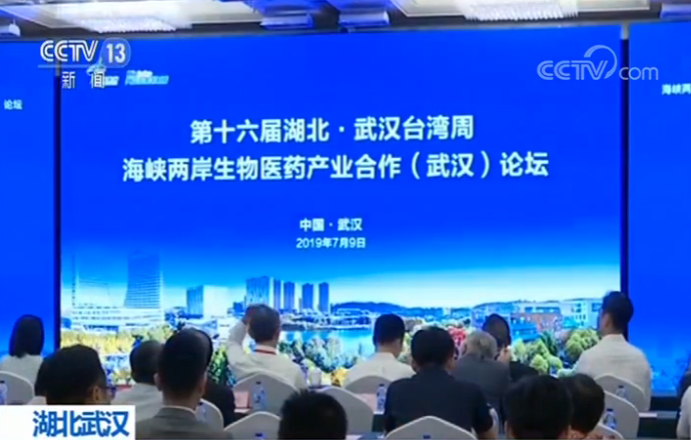 天涯论坛国际观察下的台湾，多维视角的深入剖析，天涯论坛多维视角下的台湾深度剖析