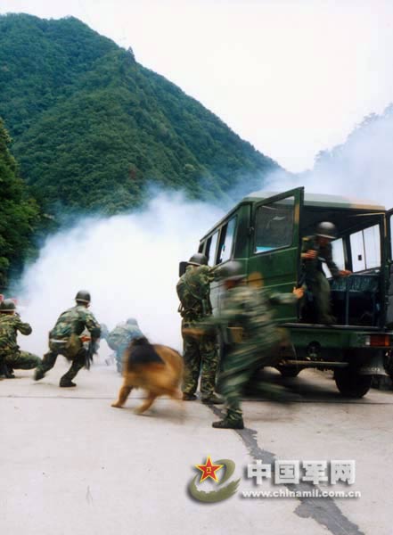 湖南怀化二炮部队位置及其重要性,湖南怀化二炮部队位置与战略重要性概述