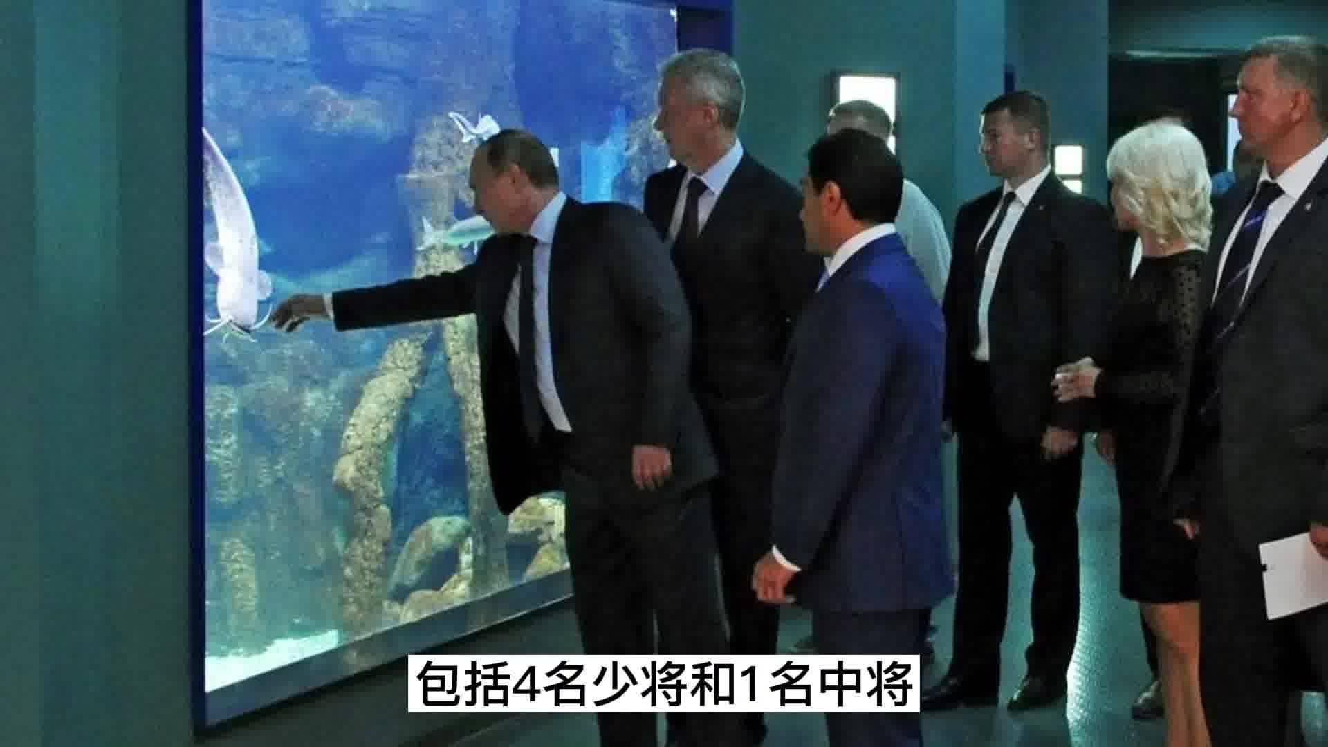 俄乌冲突进展,聚焦五月二十二日的新动态,俄乌冲突最新进展,五月二十二日动态聚焦