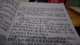 2024年新闻摘抄，科技、社会与经济的新动态，2024年科技、社会与经济的新动态概览