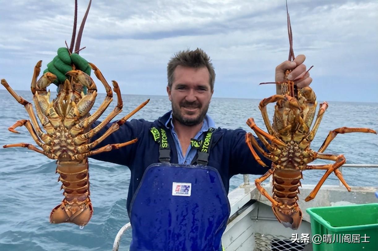 中日万吨级军舰对比，中日万吨级军舰对比，实力解析与对比观察