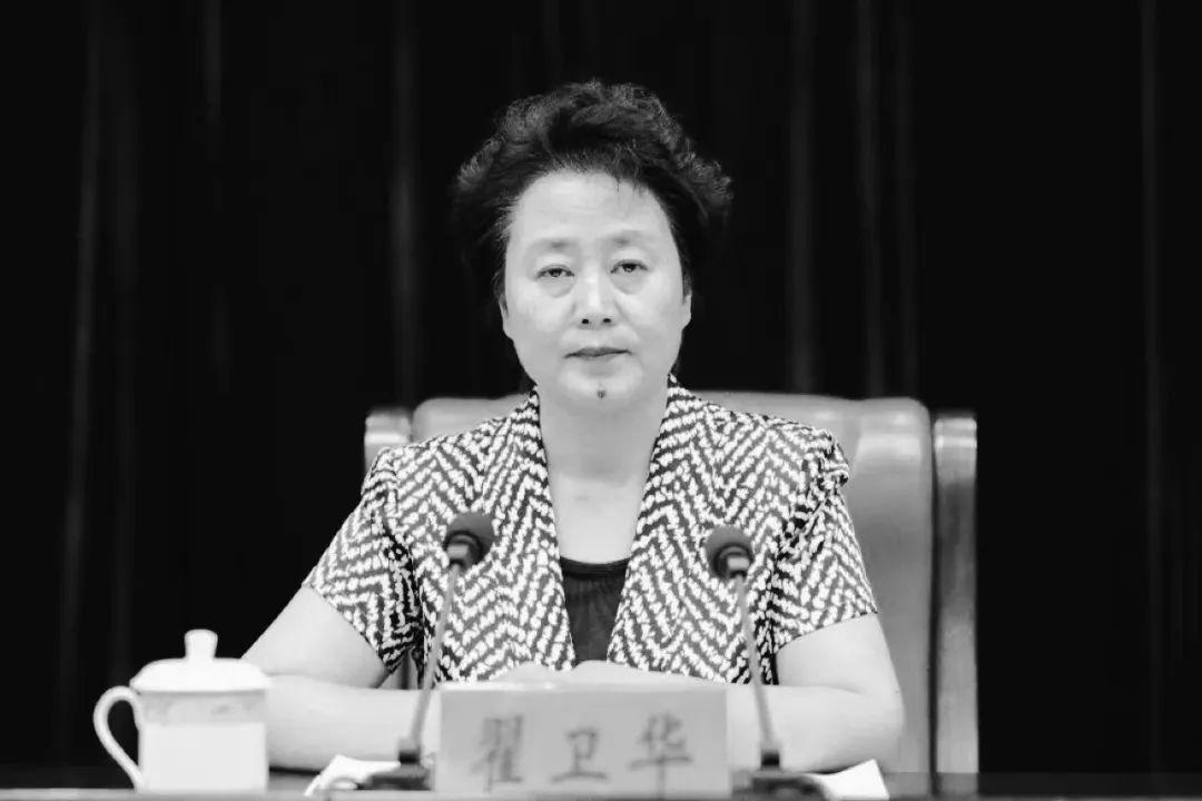 襄垣翟卫华,一位引领时代的杰出人物,襄垣翟卫华,时代引领者的杰出风采