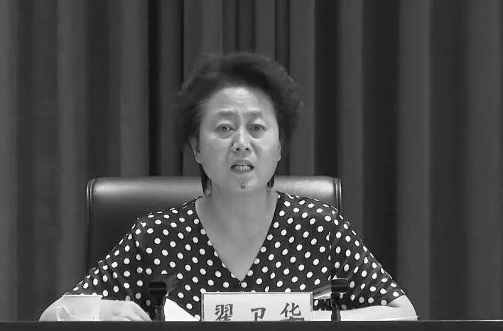 襄垣翟卫华,一位引领时代的杰出人物,襄垣翟卫华,时代引领者的杰出风采