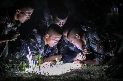 猎人学校陈勇的卓越人生简历,猎人学校陈勇,卓越人生的不凡历程