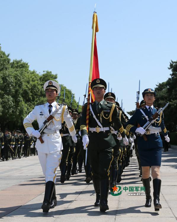 三军仪仗队图片霸气卡通动漫,荣耀与力量的象征,三军仪仗队图片霸气动漫化,荣耀与力量的标志