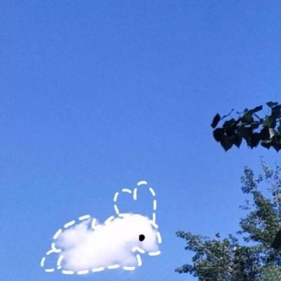 揭秘管家婆三肖必中一肖,探索命运之轮的神秘面纱,揭秘命运之轮,管家婆三肖必中一肖的神秘面纱探索