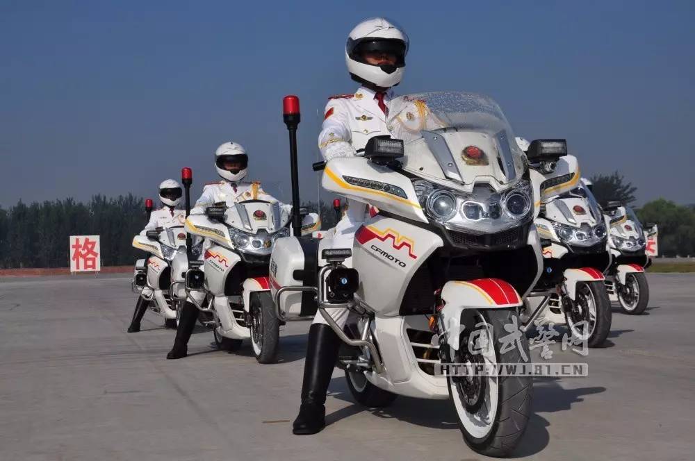 国宾护卫队优秀事迹,荣耀与担当的象征,国宾护卫队,荣耀与担当的典范事迹展