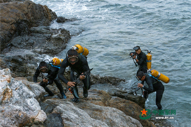 海军训练项目概述,海军训练项目概览