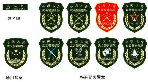 揭秘2024年武警新式礼服,荣耀与使命的象征,揭秘,武警新式礼服——荣耀与使命的象征(2024版)