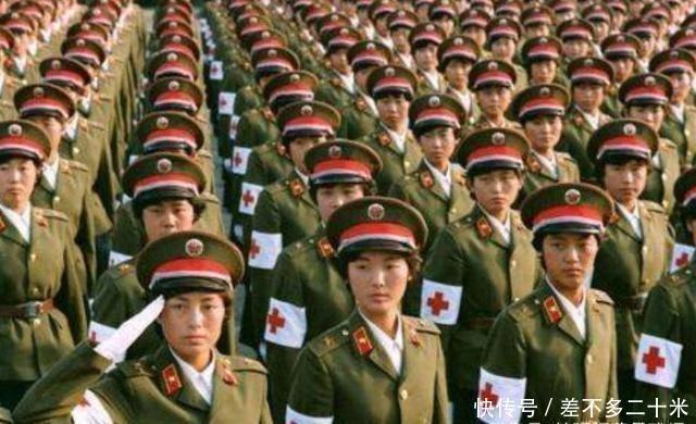 一个集团下的几个军,组织结构与发展战略,集团内多军组织结构与发展战略概览