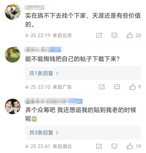 天涯论坛孙友飞寻子,希望与坚持的交织,天涯论坛孙友飞寻子,希望与坚持的力量