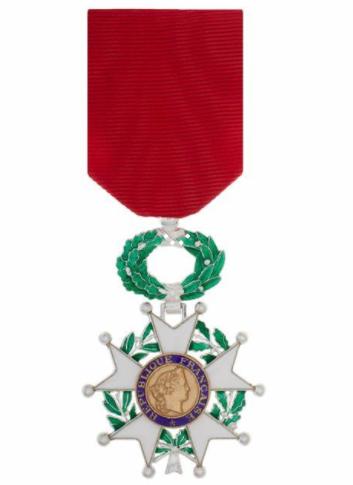 共和国勋章与提干,荣誉与职务晋升的探讨,共和国勋章与职务晋升,荣誉与职务发展探讨