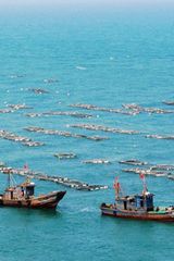 胶南海军,历史沿革与当代力量,胶南海军,历史沿革与当代实力概览