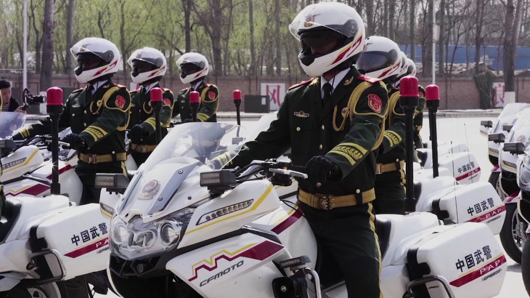 国宾护卫队最大规模,荣耀与力量的展现,国宾护卫队最大规模,荣耀与力量的盛大展示