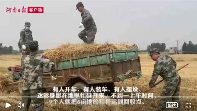 肖思远偷偷收麦子的故事,勤劳与智慧的交织,勤劳与智慧,肖思远秘密收割麦子的故事