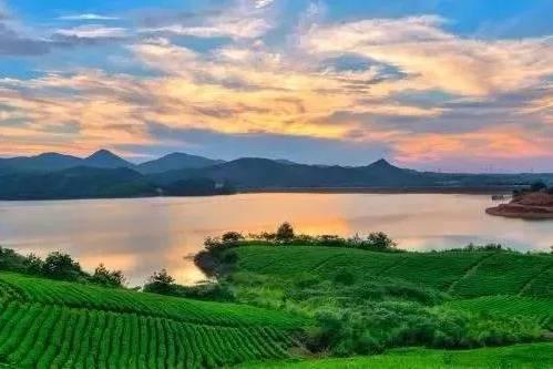 刘伯温凤凰传奇,最准一肖揭秘,刘伯温凤凰传奇揭秘,最准生肖预测传奇