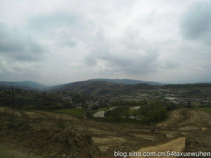 刘伯温凤凰传奇,最准一肖揭秘,刘伯温凤凰传奇揭秘,最准生肖预测传奇