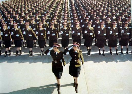 中国各军种军装图,展现威武之师的荣耀与风采,中国各军种军装展示,荣耀与威武之师的风采