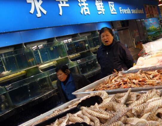 华南海鲜市场女老板,一位坚韧不拔的创业传奇,华南海鲜市场女老板,坚韧不拔的创业传奇人生