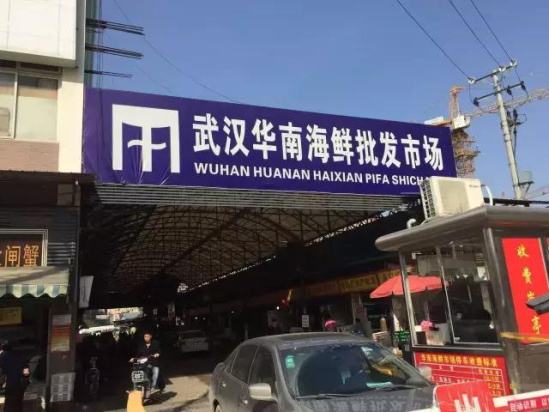 华南海鲜市场女老板,一位坚韧不拔的创业传奇,华南海鲜市场女老板,坚韧不拔的创业传奇人生