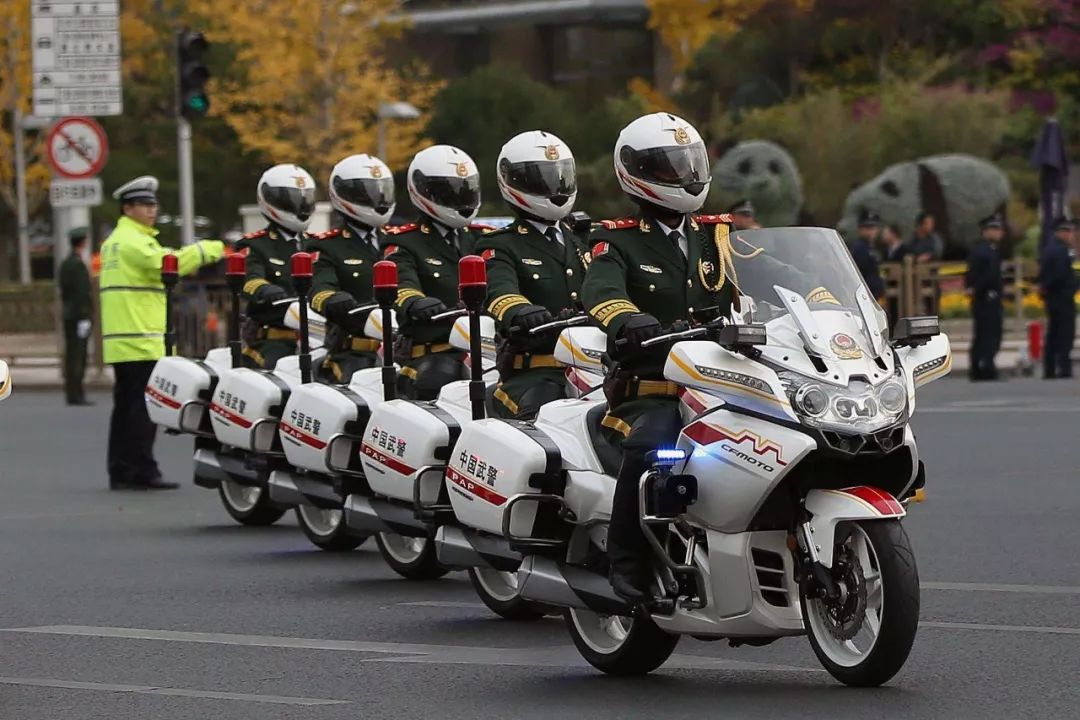 国宾护卫队,一支特殊的队伍,国宾护卫队,特殊的荣耀队伍