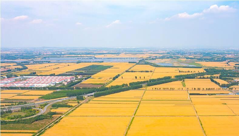 人民日报疫情时评，坚守初心，共克时艰，人民日报疫情时评，坚守初心，共克时艰战疫时刻