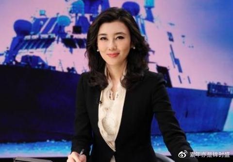 海峡两岸新闻中的李红,连接两岸的桥梁与纽带,李红,海峡两岸新闻的桥梁与纽带人物