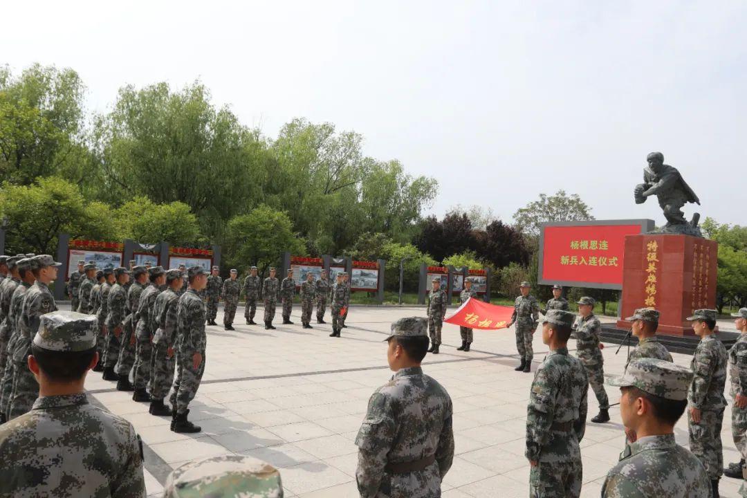 集团军与战区的关系,战略协同与作战效能的提升,集团军与战区战略协同,效能提升的关键之道