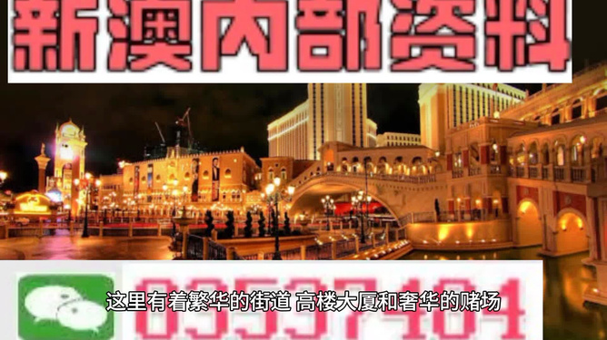 澳门内部资料精选大全,深度探索与独特视角,澳门内部资料精选深度探索与独特视角