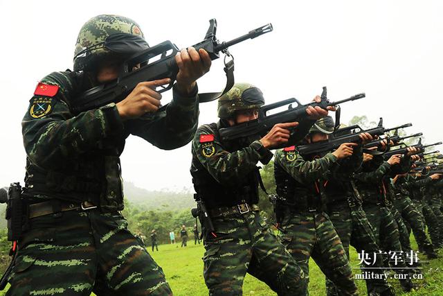 武警国宾护卫队,配枪及其相关解析,武警国宾护卫队,持枪护卫的荣耀与职责解析