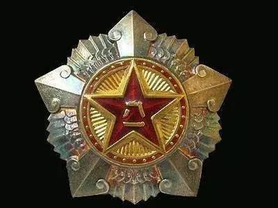 一级独立自由勋章获得后的待遇与荣誉,一级独立自由勋章获得者的待遇与荣誉详解