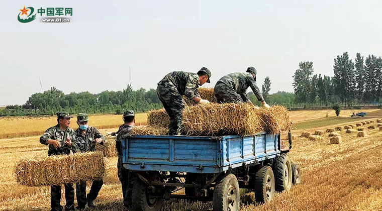 肖思远烈士家——英雄背后的故事与传承,肖思远烈士之家,英雄背后的故事、传承与荣耀