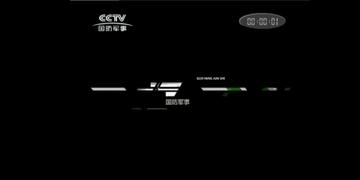 Military Channel: A Window to Global Military Affairs,Military Channel: 全球军事事务之窗