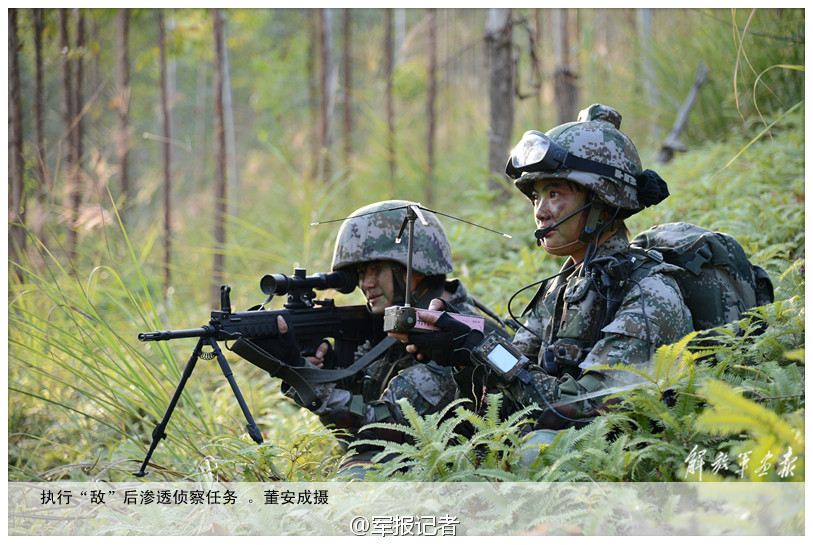 中国女特种兵火凤凰,坚韧与荣耀的象征,中国女特种兵火凤凰,坚韧与荣耀的典范