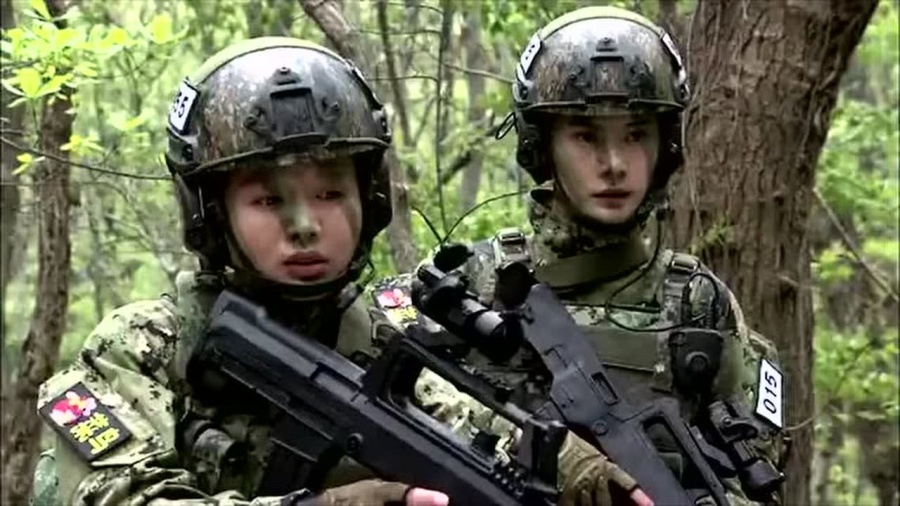 中国女特种兵火凤凰,坚韧与荣耀的象征,中国女特种兵火凤凰,坚韧与荣耀的典范