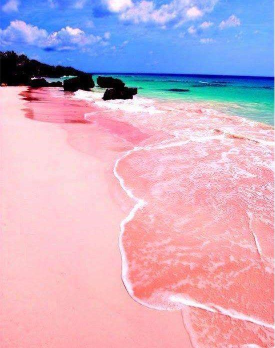 美国新闻是什么?探究其多元与复杂的面貌,美国新闻探究,多元与复杂之面貌