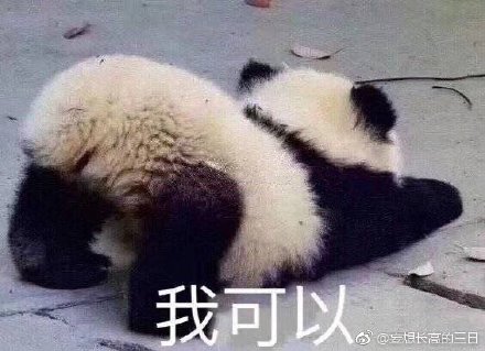 澳门四不像图片大全