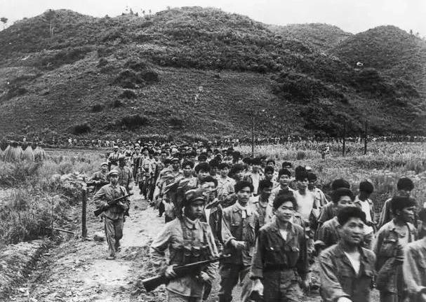 针对海外军事新闻的观察与分析，海外军事新闻观察与分析，深度剖析与解读