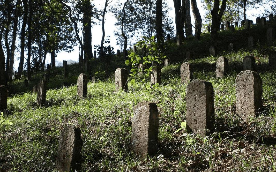 缅甸远征军八十年，历史回顾与启示，缅甸远征军八十年，历史回顾与深刻启示