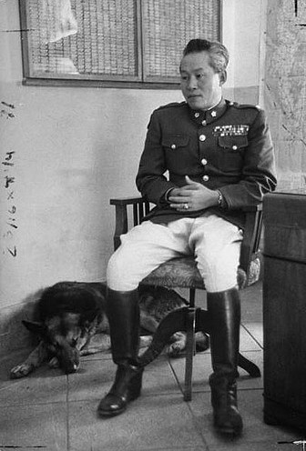 中国远征军入缅将军及其历史背景,中国远征军入缅将军及其历史背景概述