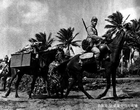 日军进攻海南岛战役，历史回顾与解析，日军进攻海南岛战役，历史回顾与深度解析