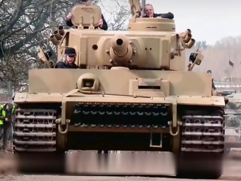 中国虎式，文化、力量与智慧的象征，中国虎式，文化、力量与智慧的卓越象征