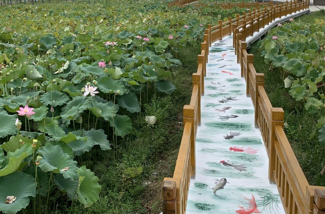 崇阳今日重大新闻，揭示城市新动向与发展亮点，崇阳最新动态，城市新动向与发展亮点揭秘