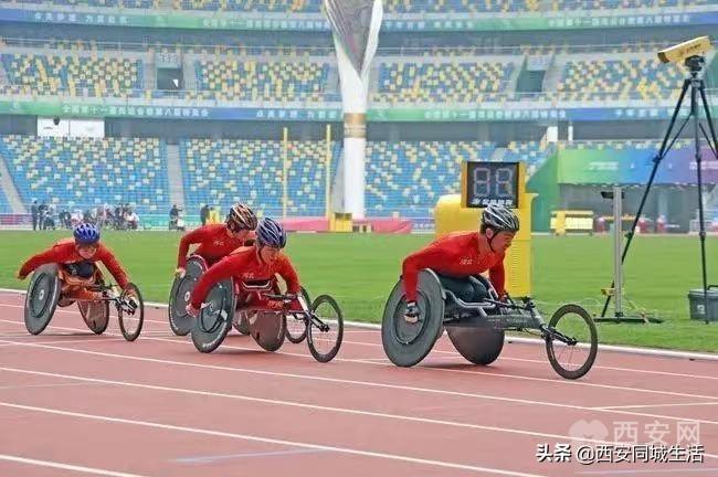 澳门彩票市场概况与未来展望，聚焦澳门彩票开奖结果查询系统（以澳门彩票市场为例），澳门彩票市场概览与未来展望，开奖结果查询系统的焦点分析