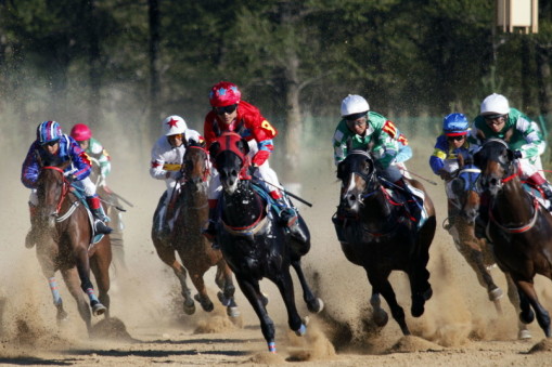 探索刘伯温四肖选一肖的秘密，历史与智慧的交织，刘伯温四肖选一肖之谜，历史智慧交织的探索之旅