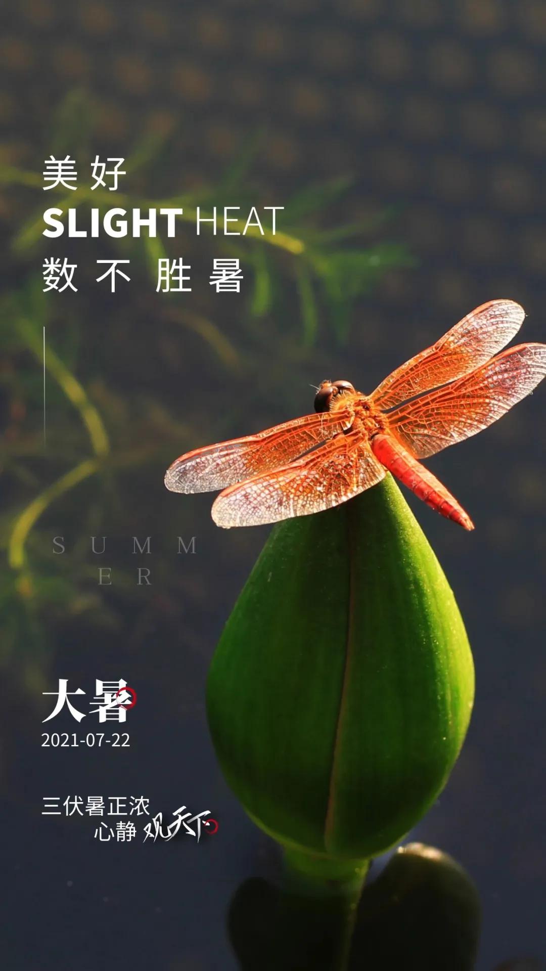 今日新闻2021年12月22日，全球科技、经济与社会动态概览，全球科技、经济与社会动态概览，最新每日新闻回顾（2021年12月22日）